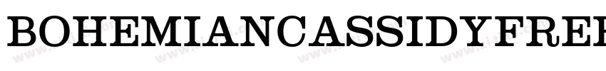 BohemianCassidyFree 字体转换 BohemianCassidyFree 字体转换